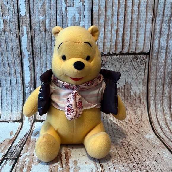 Disney Other - Winter Winnie The Pooh 🐻